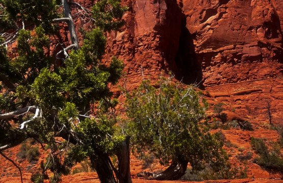 What to Pack for Sedona in October: 6 Things You’ll Actually Need