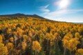Flagstaff Fall Colors 2026: Best Places, When to Go & Where to Stay