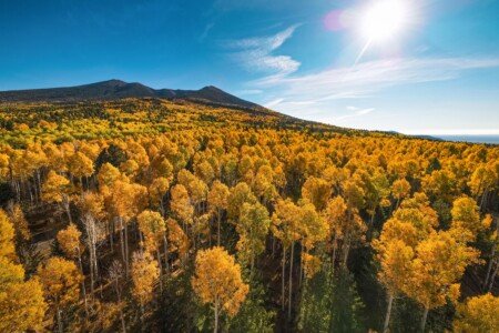Flagstaff Fall Colors 2026: Best Places, When to Go & Where to Stay