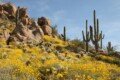 Best Time to Visit Phoenix for Good Weather, Lower Prices & Fewer Crowds