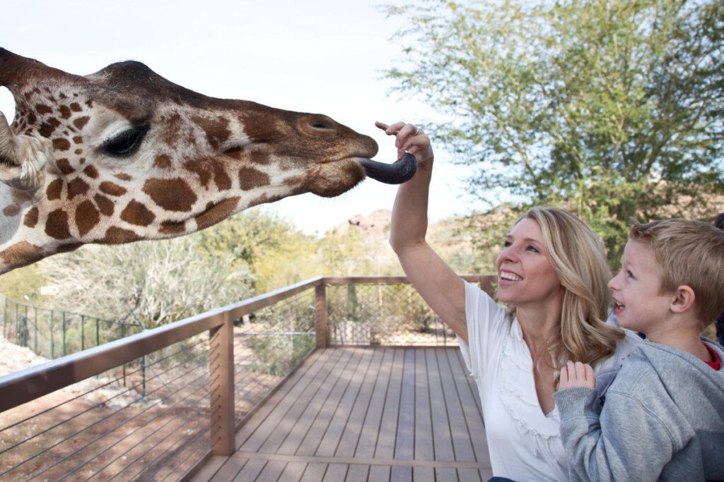 Phoenix With Kids: How to Plan a Family Trip Without Spending the Whole Day Driving