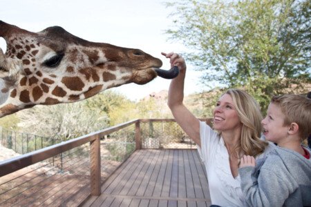 Phoenix With Kids: How to Plan a Family Trip Without Spending the Whole Day Driving